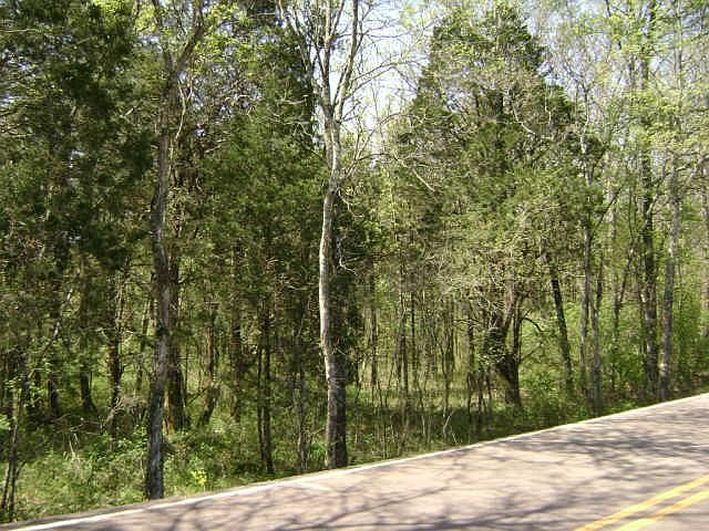 2nd image of 0 Patterson Hill Rd