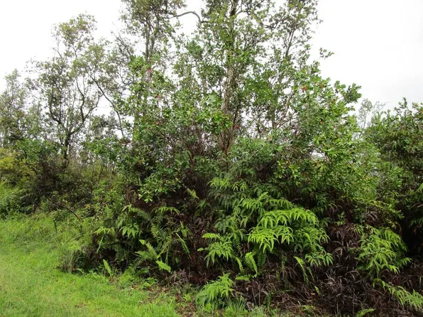 Oahu St Lot 84, Pahoa, HI 96778