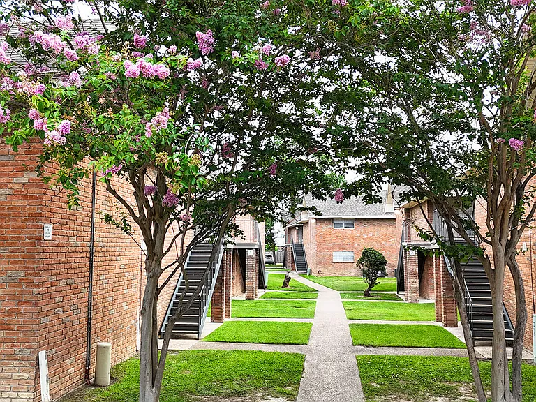 Mature Trees Throughout