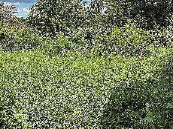 4th image of 565 Keavy Rd