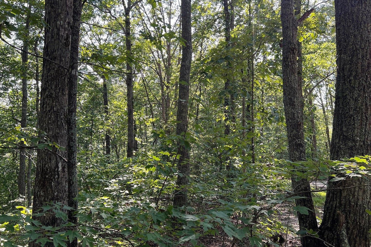 18 Matheson Cove Ct, Hayesville, NC 28904 MLS 20143995 Zillow