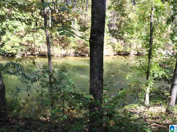 41 Fishers Way #41, Vincent, AL 35178