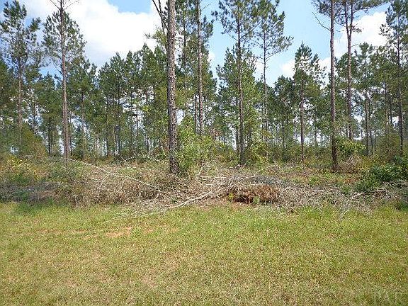 4th image of LOT 4 Chumuckla Hwy