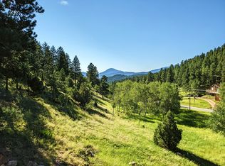 413 Sleepy Hollow Dr, Bailey, CO 80421