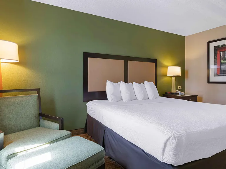 Studio Suite - 1 King Bed