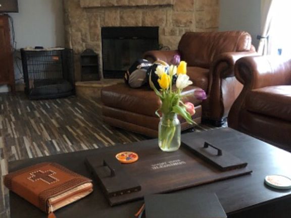 Living room fireplace 