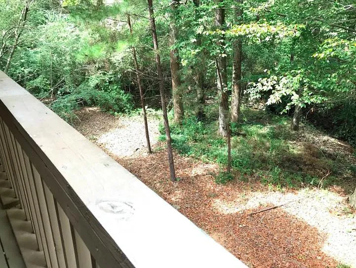 3032 Cahaba Cliffs Dr — Photo 19