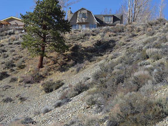 View from stream behind house.