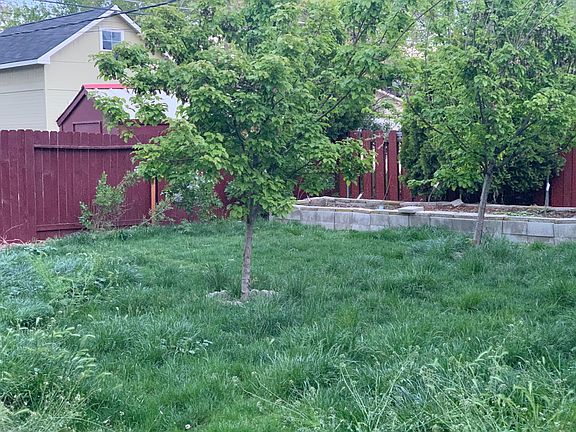 Shade trees and raised garden bed in back yard