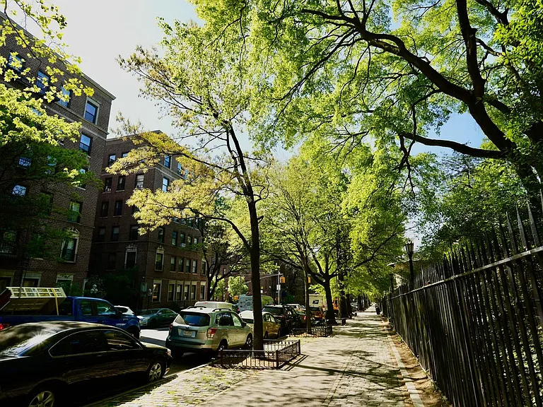 921 Washington Ave #321 — Photo 10