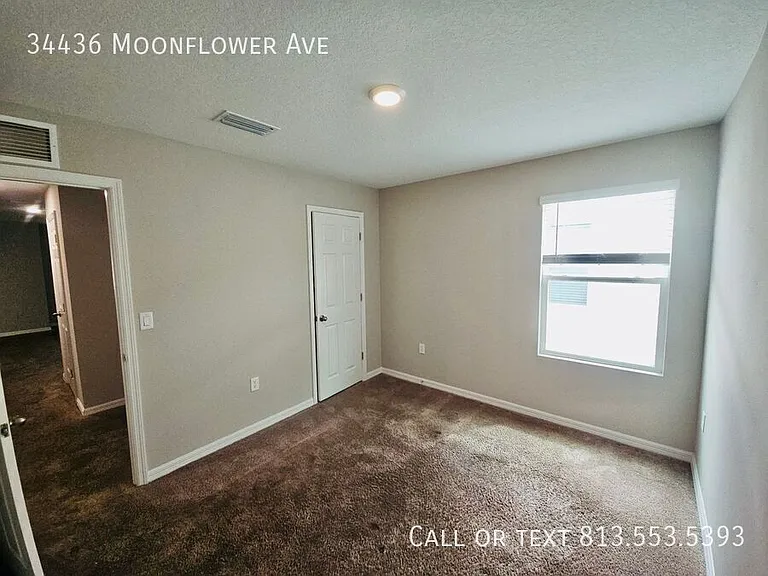 34436 Moonflower Ave — Photo 8