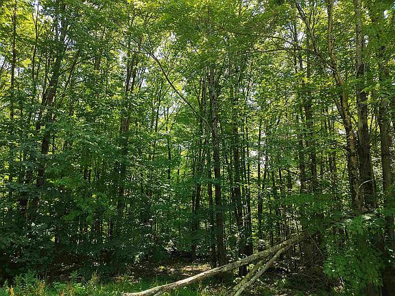 5th image of 230 Ober Hill Road