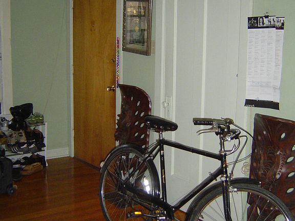 Living room front door (brown) anda storage closet (white) l