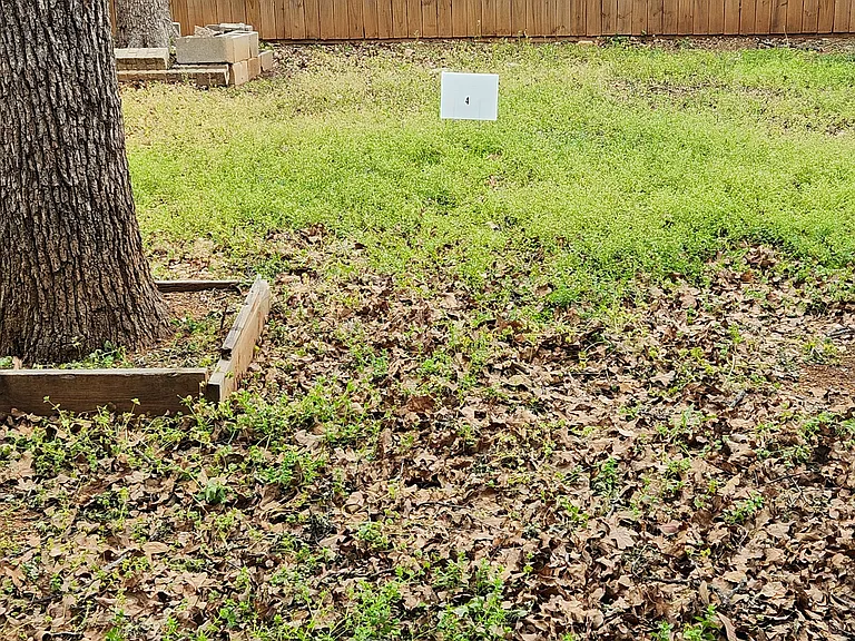 Dedicated parking spot