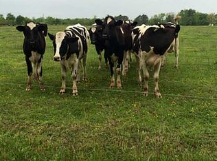 2892 Copeland Rd, Suffolk, VA 23434