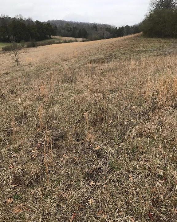 1st image of 588 Highway 70 W