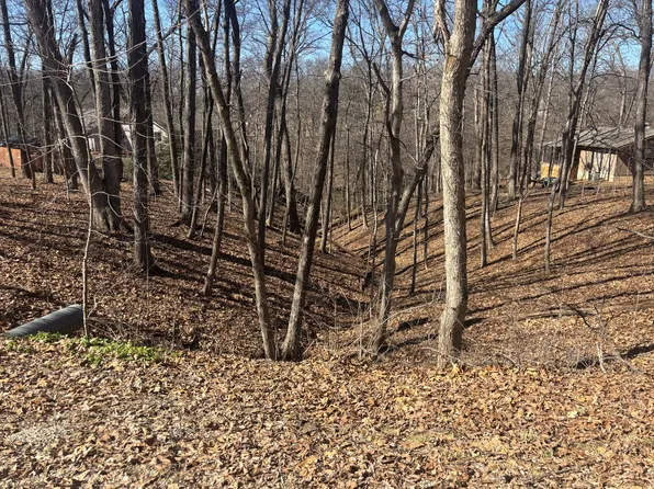 1673 Lakeside Ct, Varna, IL 61375