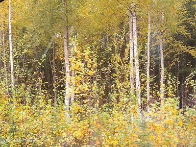 2740 N Gunflint Trl, Wasilla, AK, 99623
