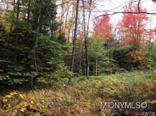 0 41 2 Ac Stewarts Landing Rd, Stratford, NY 13470