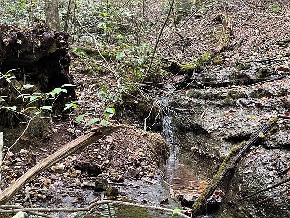 2nd image of 0 McClanahan Rd