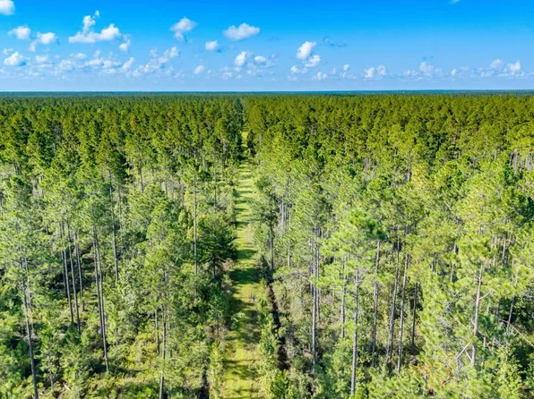 Xx1 Nw County Road 333, Bristol, FL 32321