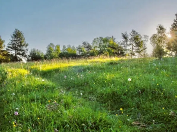 7429 Parkway Dr Lot 6, Leeds, AL 35094