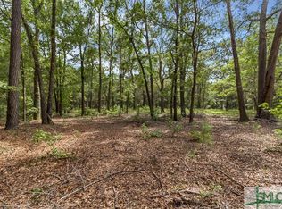 424 Oak Level Rd, Richmond Hill, GA 31324