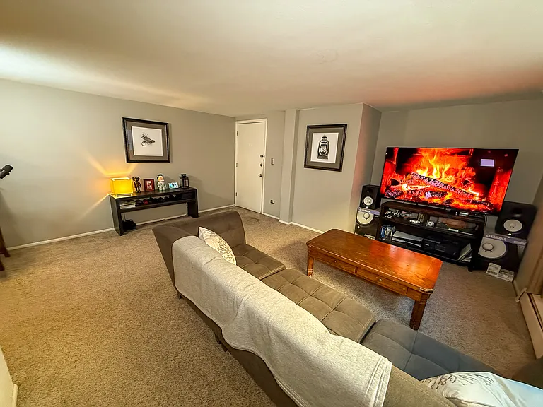 352 S Lafayette St #403 — Photo 4