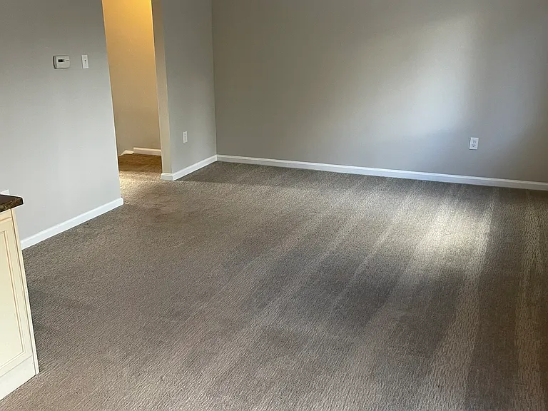 2788 Bingham Dr — Photo 6