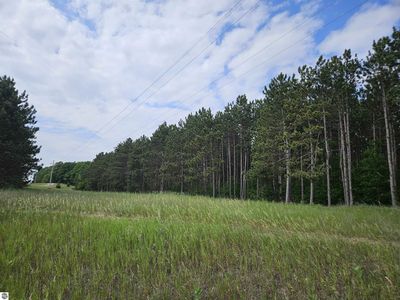 0 W Geers Rd, Mc Bain, MI, 49657