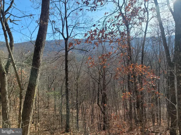 Moreland Gap Rd, Mount Jackson, VA 22842