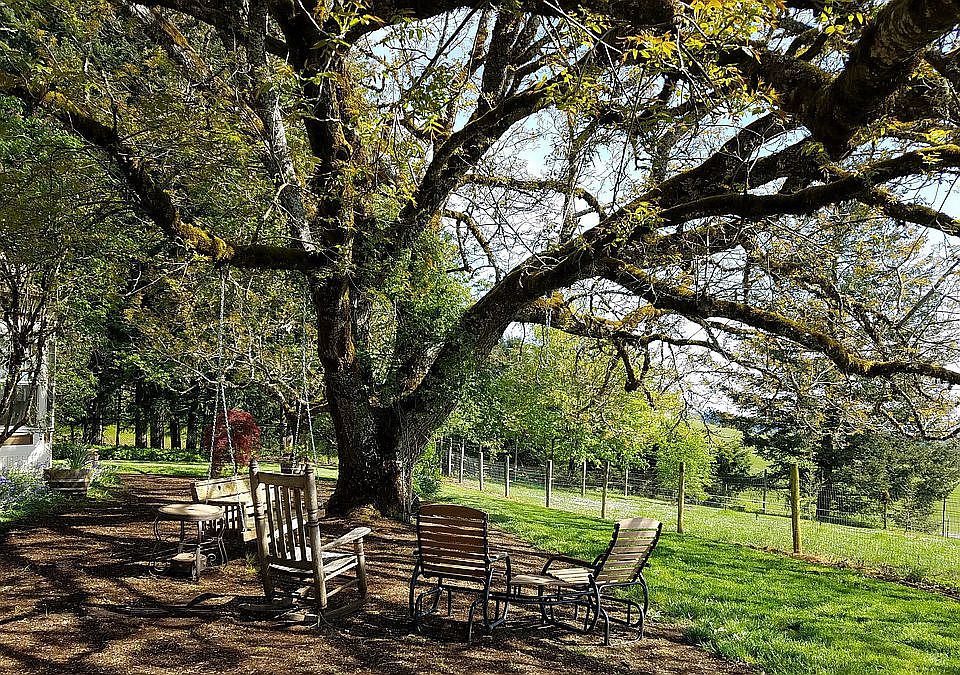 Sitting area under the huge 