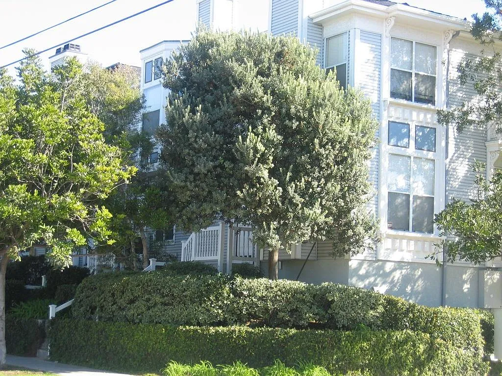 2 bed, 2.5 bath, 1178 sqft, $3,475 — Photo 2