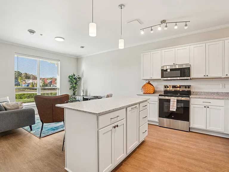 Kitchen and living space great rooms