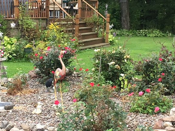Rose garden and front deck