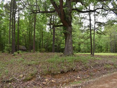 (Undisclosed Address), Amity, AR, 71921