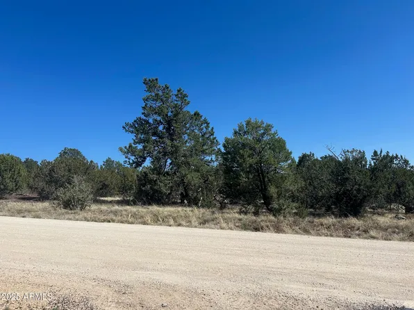 lot 7 Stanford -- #7, Vernon, AZ 85940