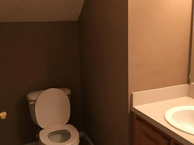 Downstairs Half Bathroom