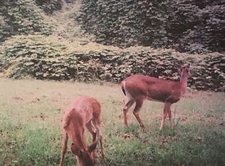 1087 County Road 417, Rector, AR 72461