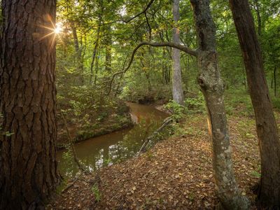 14221 Pine Overlook Dr, Flint, TX, 75762