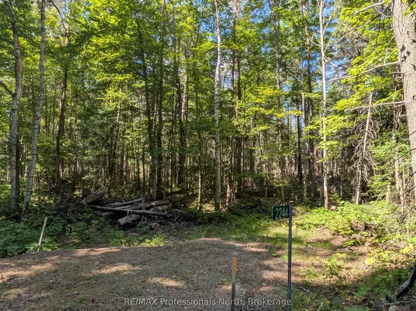 2244 Yearley Rd, McMurrich/monteith, ON P0A 1Y0