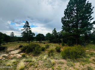 3603 Sunset Ridge Loop LOT 165, Happy Jack, AZ 86024