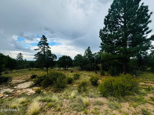 3603 SUNSET RIDGE Loop #165, Happy Jack, AZ 86024