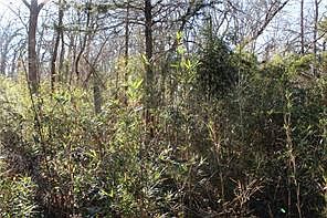 1st image of 275 W 22nd St