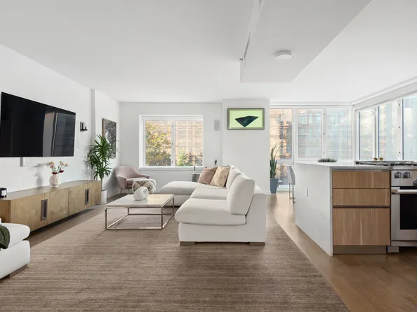 265 East Houston Street image 5 of 18