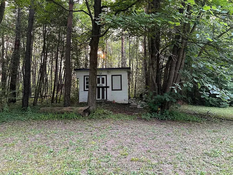 9031 Side Road 17 — Photo 11