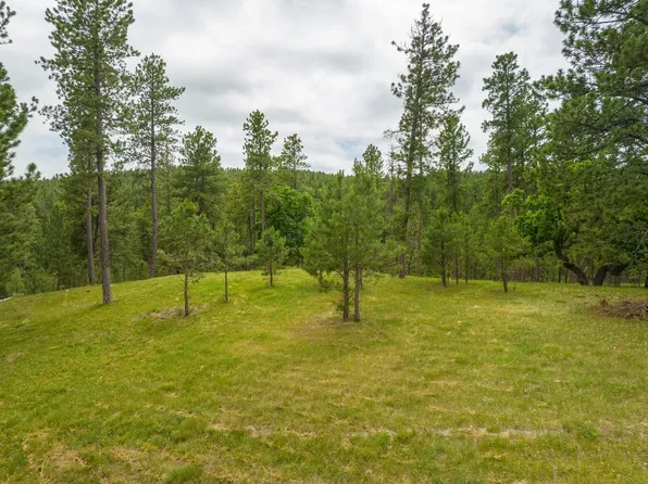 13737 S Latigo Rd, Hermosa, SD 57744