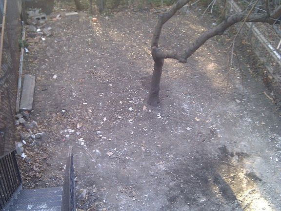 5th image of 205 Lexington Ave