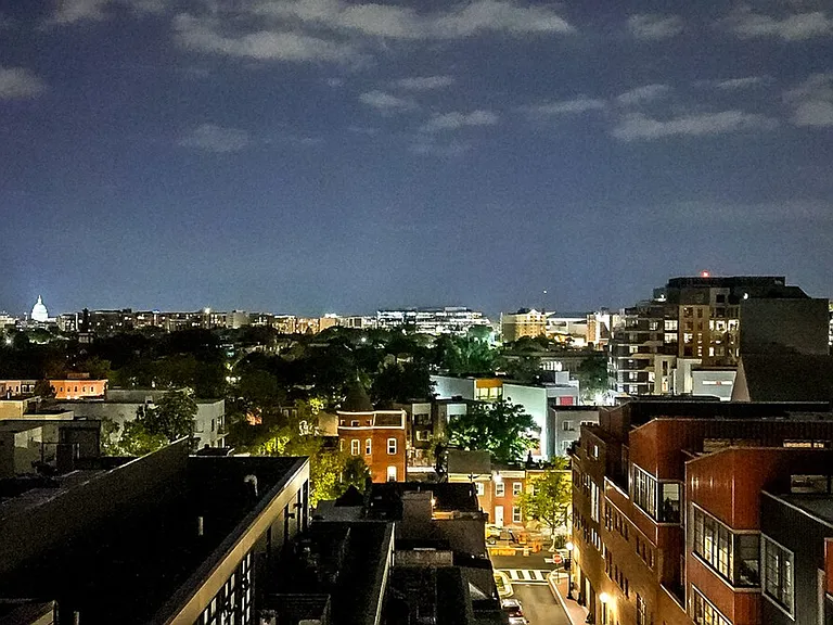 Window View