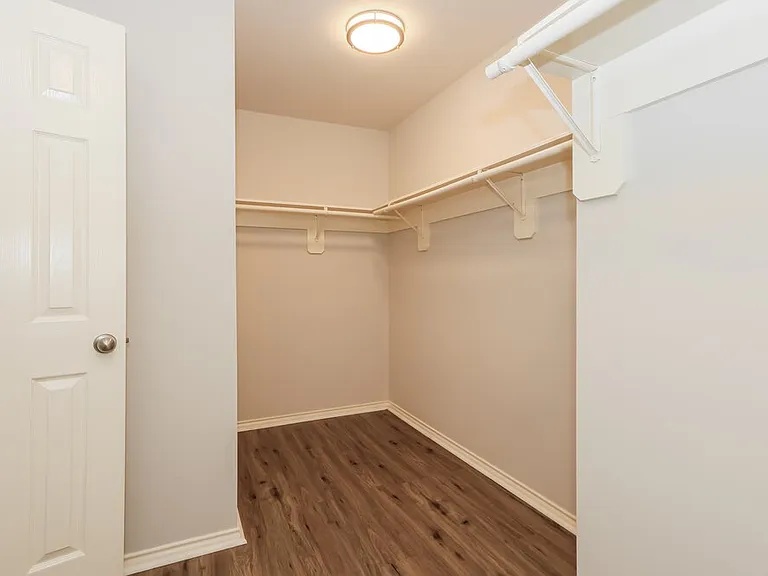 28506 Carly Cove Ln — Photo 12